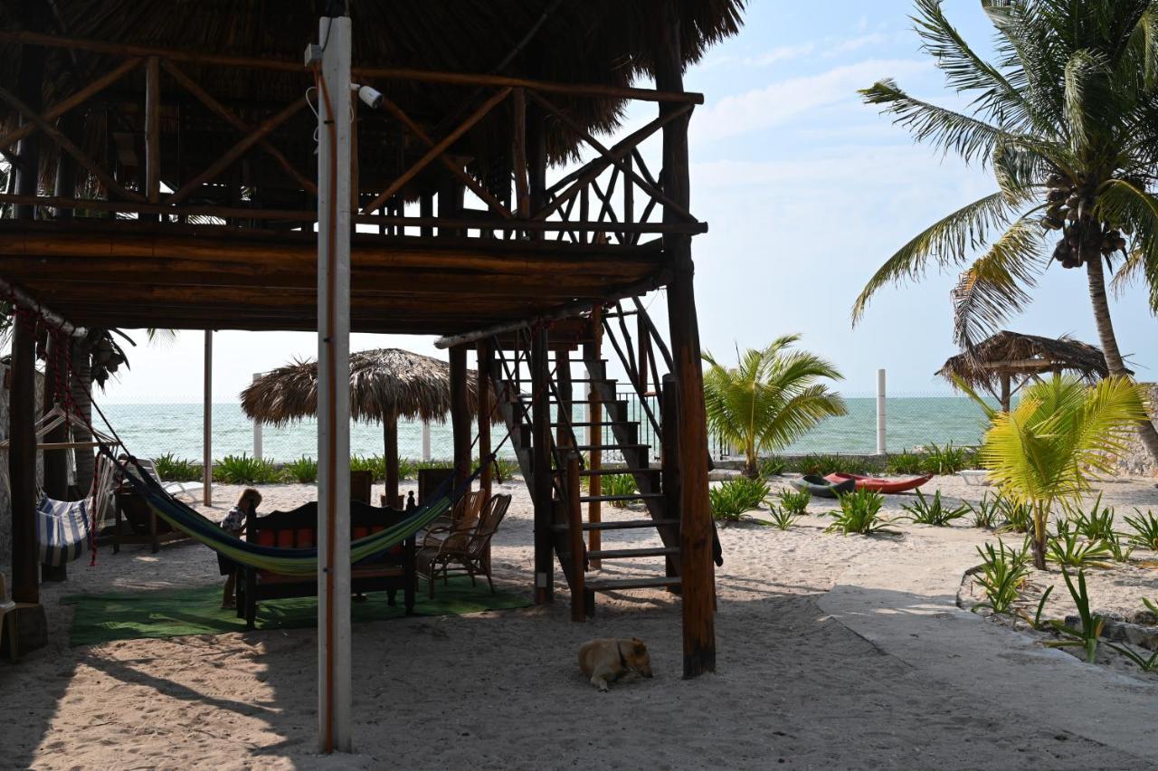 La Casa Del Mexicano Celestun Luaran gambar
